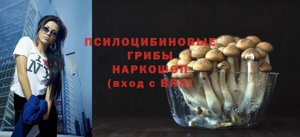 ECSTASY Алзамай