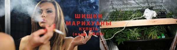 спайс Алексин