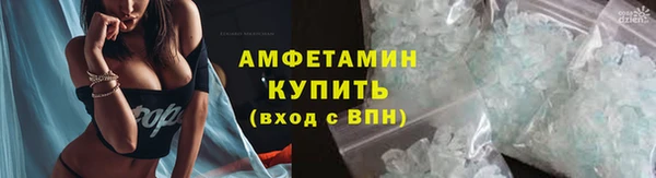 ECSTASY Алзамай