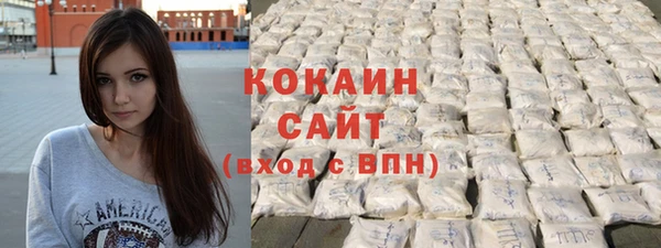 спайс Алексин