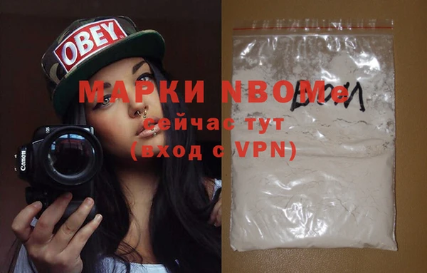 ECSTASY Алзамай