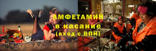 ECSTASY Алзамай