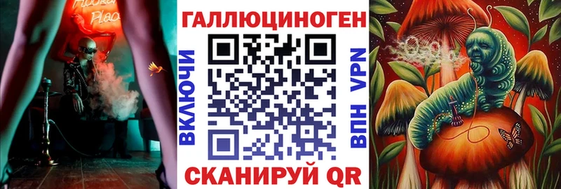 сколько стоит Стародуб Галлюциногенные грибы Cubensis